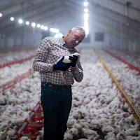 Bird Flu Confirmed on Noxubee Farm