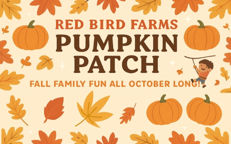 Red Bird Farms Announces Pumpkin Patch