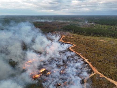 Forestry Commission: Cause of Attala Fire Was Equipment Use