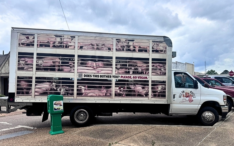 PETA’s “Hell on Wheels” Squealing Pigs Truck Visits Carthage