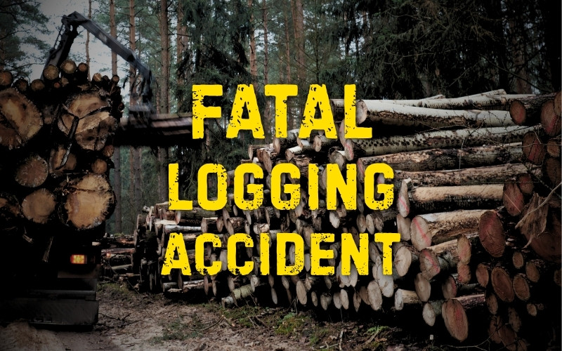 Child Killed in Logging Accident in Attala County