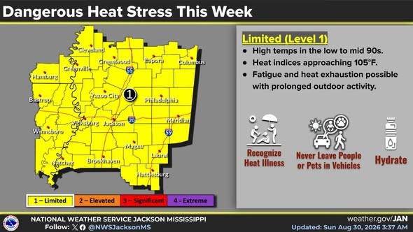 Here Comes the Heat Again